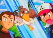 The boy, Farfetch'd and Ash