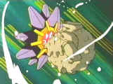 Starmie VS Graveller