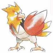Spearow #21